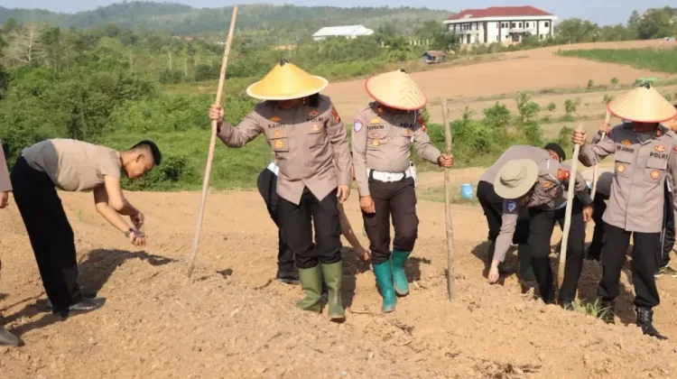 Kapolres Melawi Pimpin Penanaman Jagung Kuartal III Tahun 2026