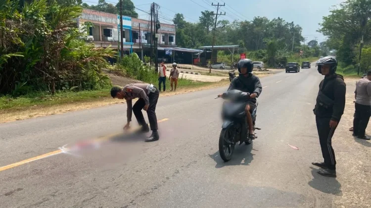 Laka Lantas di Sekadau Tewaskan Pengendara Motor
