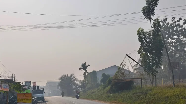 Udara Sintang Memburuk, BMKG Ingatkan Warga Gunakan Masker