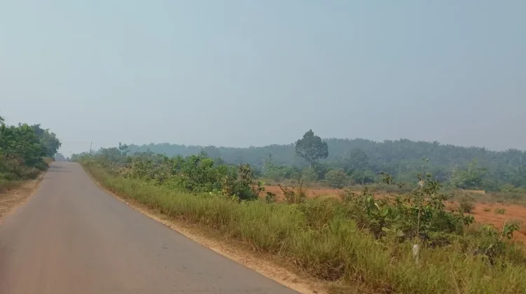 Sintang Masih Dilanda Kemarau, BMKG Prediksi Hujan Masih Minim