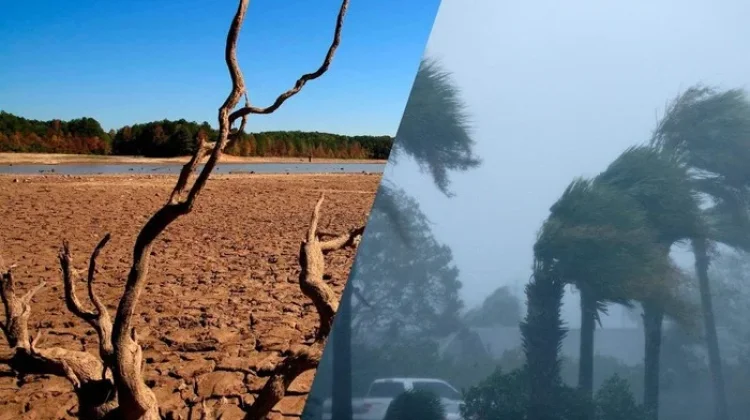 Fenomena El Niño dan La Niña yang Berdampak bagi Indonesia