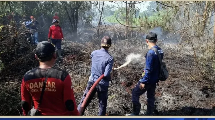 BMKG Sintang: El Nino Sangat Kuat Diperkirakan Terjadi hingga Awal 2027