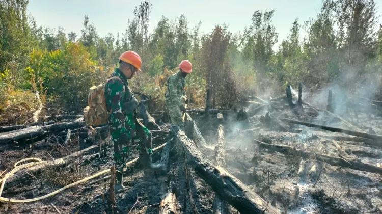 Aksi Cepat Babinsa Koramil Ketungau Hilir Tangani Karhutla di Desa Nanga Ketungau