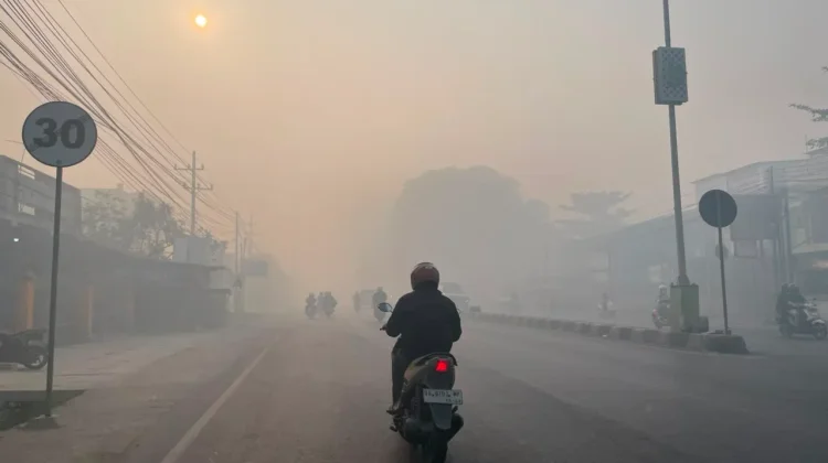 Kabut Asap, Kenali Bahaya dan Efek Sampingnya bagi Kesehatan