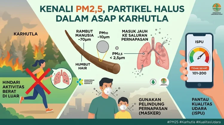 Kenali PM2,5, Partikel Halus yang Ada dalam Asap Karhutla