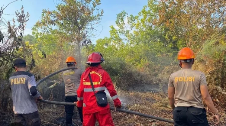 BMKG : Kualitas Udara di Sintang Tidak Sehat hingga Berbahaya