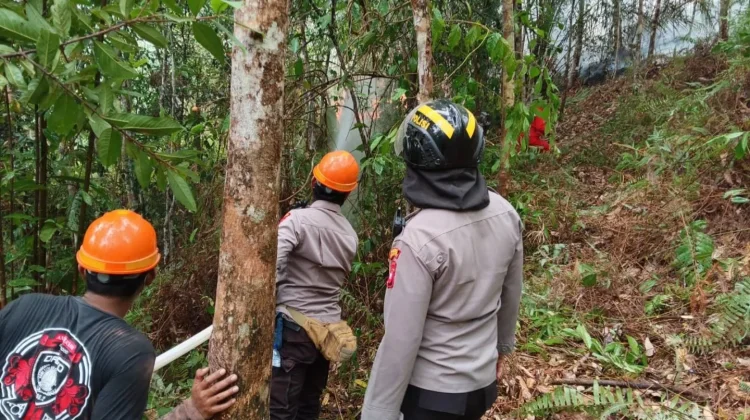 Polsek Menukung Bersama Koramil dan MPA Tangani Karhutla di Desa Belaban Ella