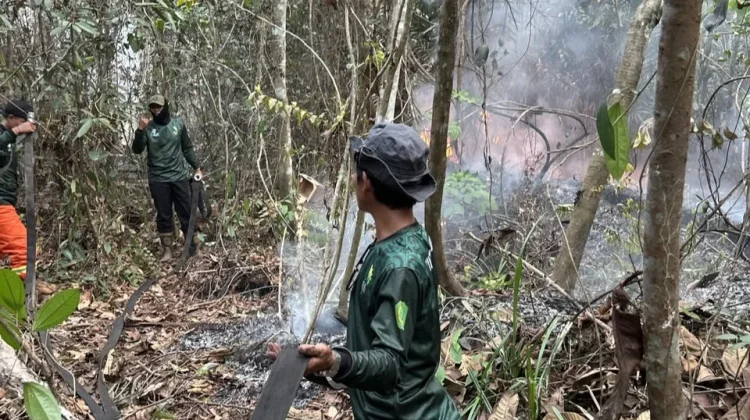 KPH Sintang Utara Perkuat Pemadaman Karhutla di Kapuas Kiri Hulu