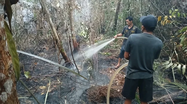 Warga Kapuas Kiri Hulu Gotong Royong Padamkan Karhutla Dekat Permukiman