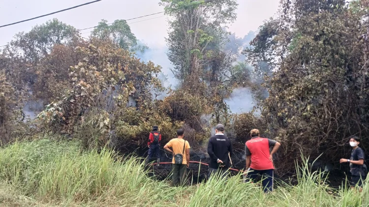 Gerak Cepat, Tim Gabungan Padamkan Karhutla di Sintang