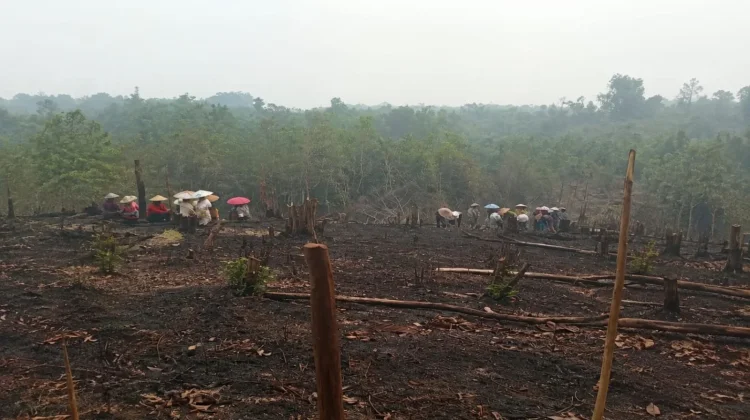 Nugal Namal, Tradisi Sarat Nilai Budaya Dayak Desa