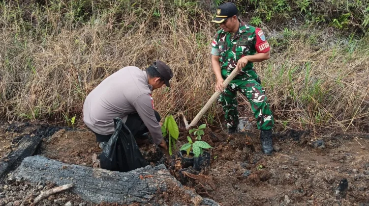 Polres Kapuas Hulu, TNI dan Masyarakat Tanam Pohon di Lahan Terdampak Karhutla