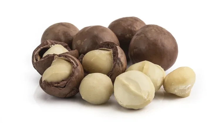 Kenali 6 Jenis Kacang Mahal, dari Pistachio hingga Macadamia