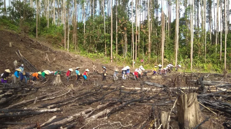 Prosesi Nugal/Namal Suku Dayak Desa