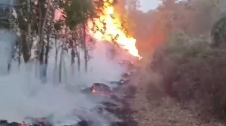 Kebakaran Lahan di Melawi Hanguskan Puluhan Hektar