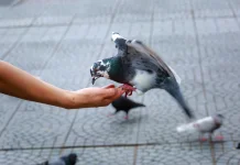 Amalan Sederhana Berpahala di Ramadan