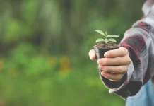Gaya Hidup Ramah Lingkungan untuk Generasi Mendatang