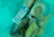 Makan Bergizi Gratis Sintang Jeda Libur Ramadan