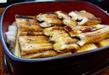 Manfaat Konsumsi Ikan Sidat