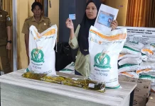 Penerima Bantuan Pangan di Sintang Naik 69 Persen