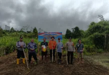 Polsek Nanga Pinoh Tanam Jagung Hibrida, Dukung Ketahanan dan Swasembada Pangan