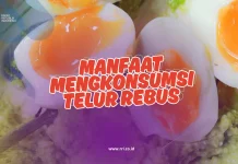 Manfaat Mengkonsumsi Telur Rebus untuk Kesehatan