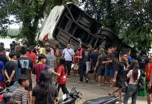 Bus Damri Rute Sintang Pontianak Kecelakaan Maut
