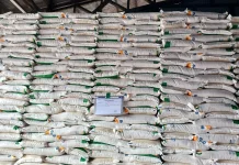 Bulog Sintang Pastikan Stok Pangan Aman untuk Beberapa Bulan Kedepan
