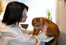 Perilaku Kucing Memijat, Kapan termasuk Normal dan Perlu Diwaspadai?