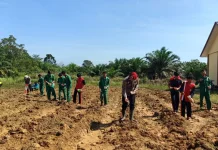 Pelajar SMK di Sekadau Belajar Ketahanan Pangan lewat Demplot