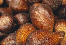 Ragam Salak Populer di Indonesia