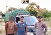 Polsek Embaloh Hulu Berhasil Amankan Terduga Pelaku Tabrak Lari