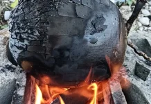 Manfaat Kelapa Bakar bagi Kesehatan