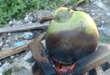 Cara Membuat Kelapa Bakar agar Masak Sempurna