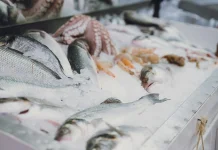 Frozen Food Paling Laris Dicari Konsumen