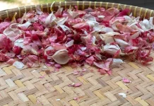 Manfaat Kulit Bawang Merah untuk Tanaman