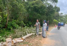 DLH Sintang Bersihkan Jalur Hutan Wisata