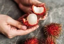 Manfaat Buah Rambutan bagi Kesehatan