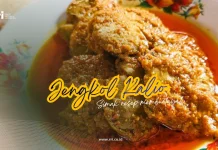 Intip Resep Masakan Rumahan Jengkol Kalio