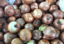 Sempat Langka, Bawang Bombay di Pasar Sintang Kembali Normal