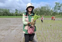 Sintang Perkuat Brigade Pangan untuk Wujudkan Swasembada Pangan
