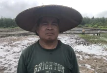 Petani Desa Ajak Mulai Tinggalkan Ladang Berpindah, Beralih ke Sawah