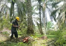 Serikat Buruh Sintang Dorong Peningkatan K3 dan Jaminan Sosial bagi Pekerja