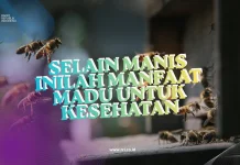 Selain Manis Inilah Manfaat Madu untuk Kesehatan