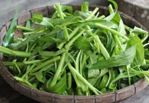 Kangkung: Sayuran Murah dengan Manfaat Mewah untuk Anak