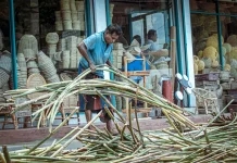 Juhu Singkah, Sayur Rotan Muda Tradisional khas Suku Dayak