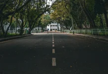 Manfaat Pohon Hijau di Kawasan Kota