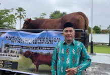 873 Kilogram Daging Sapi Bantuan Presiden Siap Dibagikan