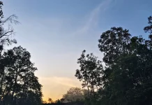 Rekomendasi 3 Tempat Piknik Menyenangkan di Kabupaten Melawi