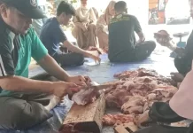 Surau Al Mukminun Sekadau Gelar Pemotongan Hewan Kurban